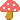 :mushroom5: