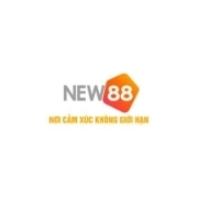 new882info6